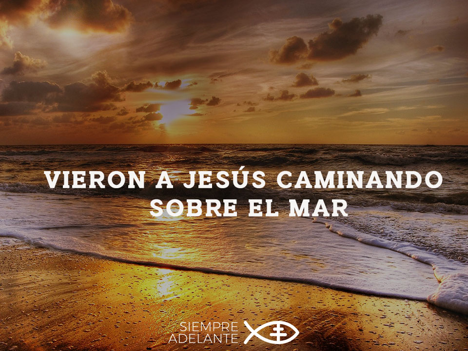 #EvangelioDelDía| Jn 6, 16-21. “Vieron a Jesús caminando sobre el mar”. archisevillasiempreadelante.org/palabraviva-13… #SiempreAdelante #PalabraViva