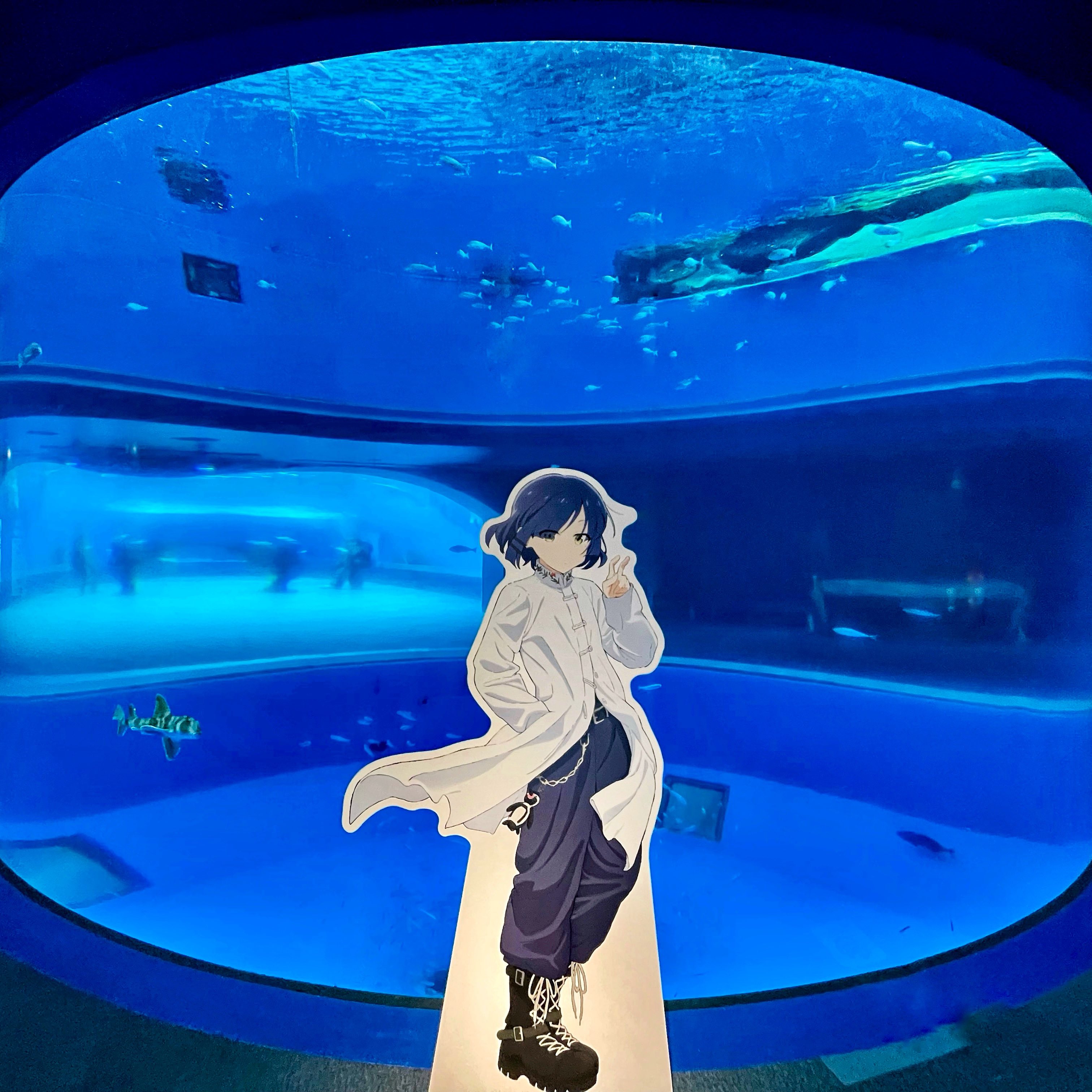 ぼっち・ざ・ろっく! 八景島シーパラダイス　グリッター　缶バッジ　全種セット ぼっち・ざ・ろっく! 八景島シーパラダイス グリッター 缶バッジ