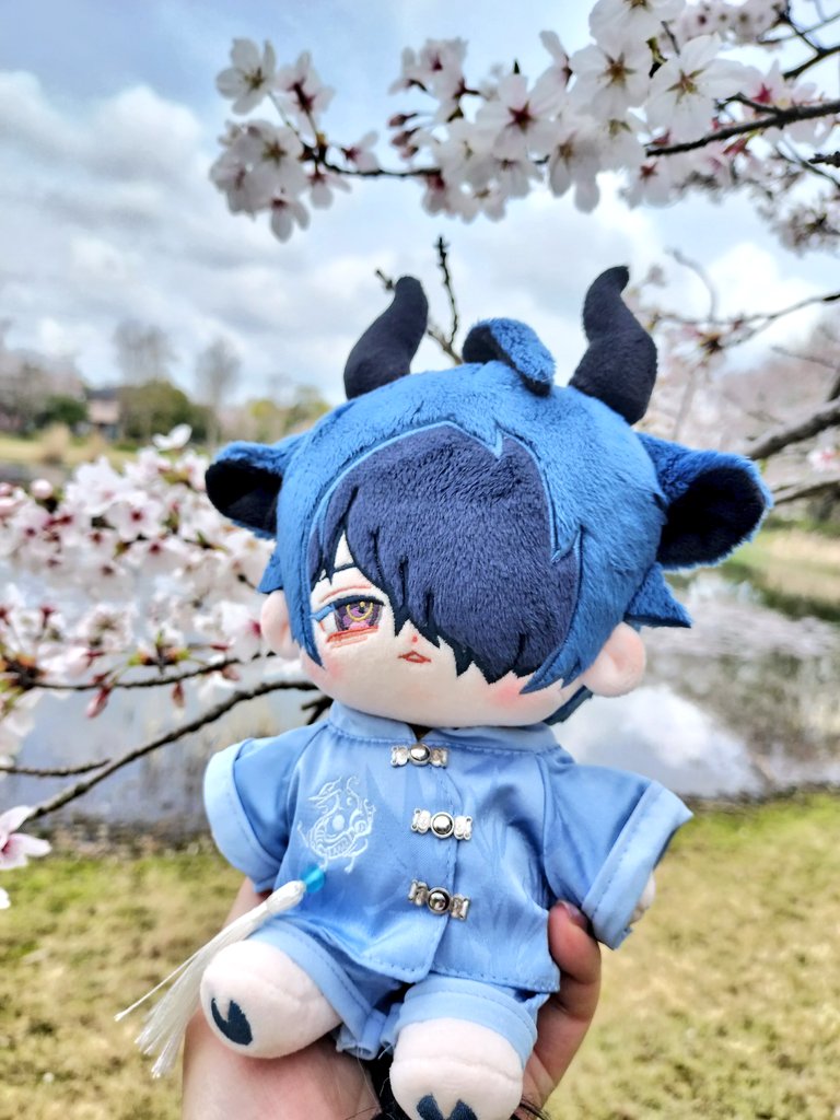 #無ぬいとお花見2024