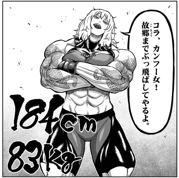 一勝千金、まだ2巻しかでてないから買ってみたけどすげえ面白いわ…語尾がカタカナになる絵に書いたような功夫娘とか筋肉モリモリの脳筋パワーファイター娘とかとにかく敵キャラがいいのよ…特に瀬名姉妹(姉)がスト6マリーザとかテンカイチ風魔小太郎とかが好きな人に思い切りぶっ刺さると思う 