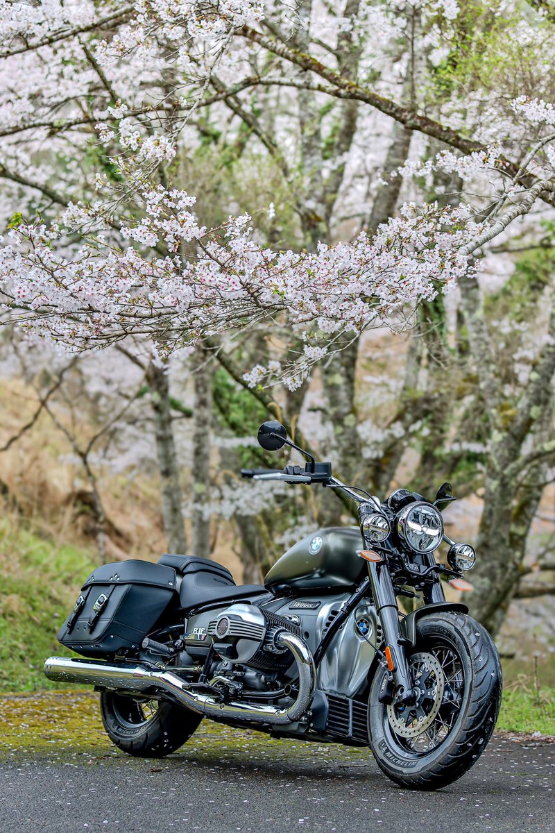 🌸🏍³₃
#bmwr18
#バイク