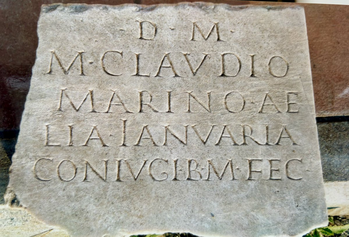 A long time ago, on an excavation far, far away (actually 22YA at Castelporziano nr Ostia), I went for a lunchtime wander to a boggy spot used by wild boar as a wallowing hole, & found the only Roman inscription of my career sticking out of the mud😃#epigraphytuesday #tombtuesday