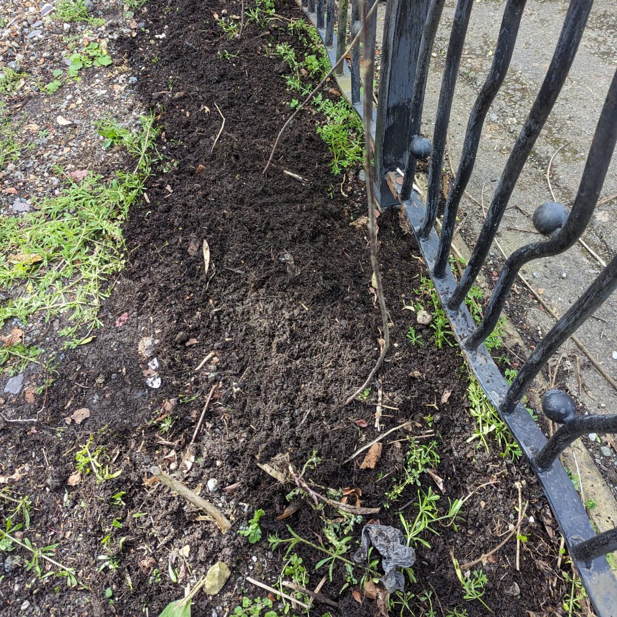 A huge thank you to Rosie from Hull's Butterfly campaign for the beautiful Buckthorn border that Lucy planted during her lunch over the weekend! Special thanks also to @patt_foundation for generously donating Alder Buckthorn saplings. #UrbanHabitat #VolunteerOpportunity