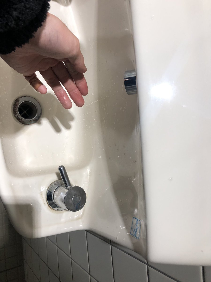 山梨のダイソー来てトイレで手を洗おうとしたけど自動だと思ってずっと手を添えてた……