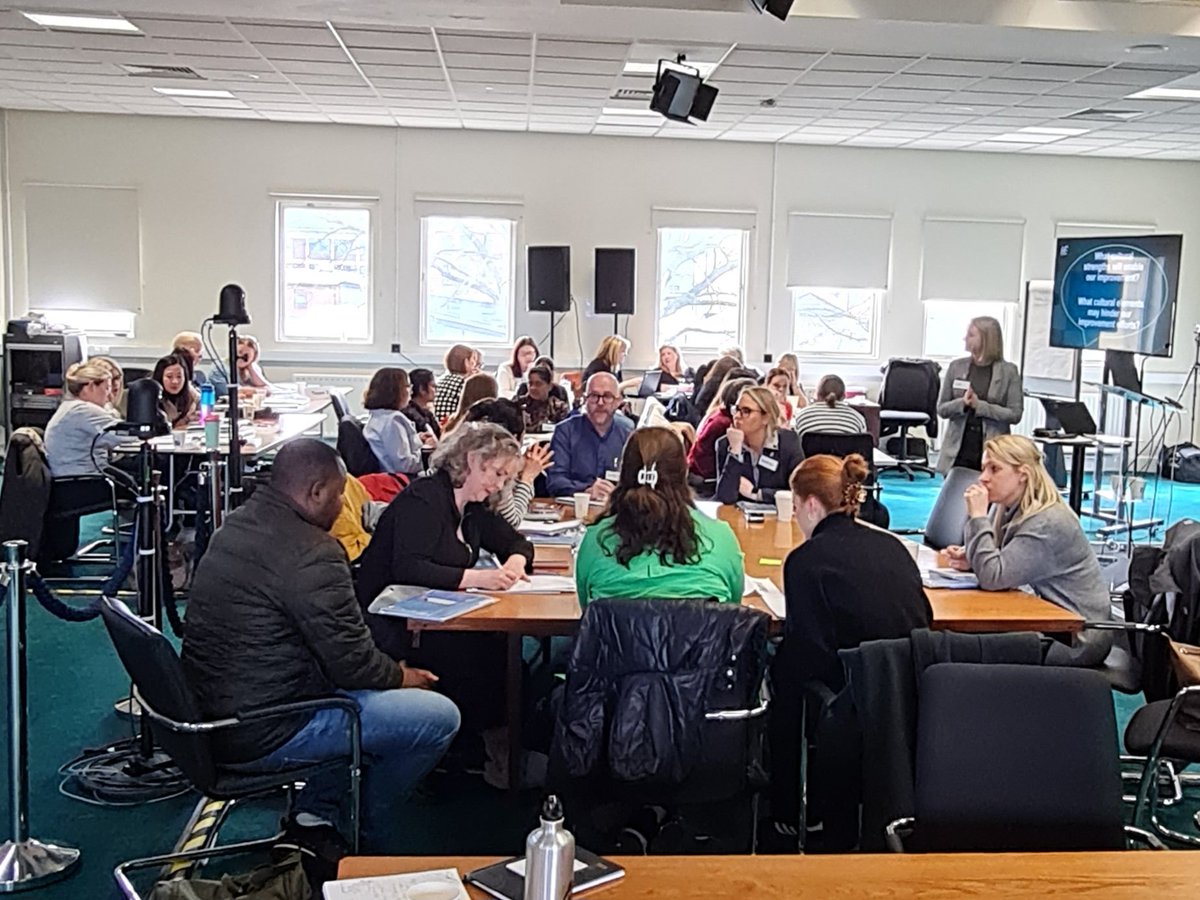 Bríd Murray from the Engagement &amp; Culture Office, <a href="/HSE_HR/">HSE HR</a> Capability &amp; Culture Team, exploring cultural strengths to enable #qualityimprovement. 
At @DMHospitalGroup Improvement Collaborative Learning Day to reduce harm from falls &amp; pressure ulcers #patientsafety @NationalQPS