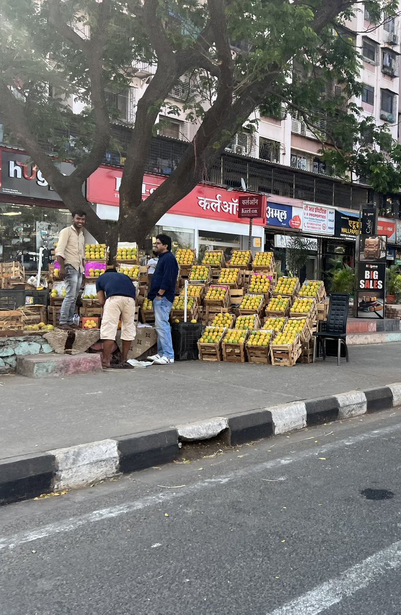 Think the new pedestrian lane is walking above the mangoes. #pmc #Modi2024 #kharghar #navimumbaipolice #mumbaipolice #BJP