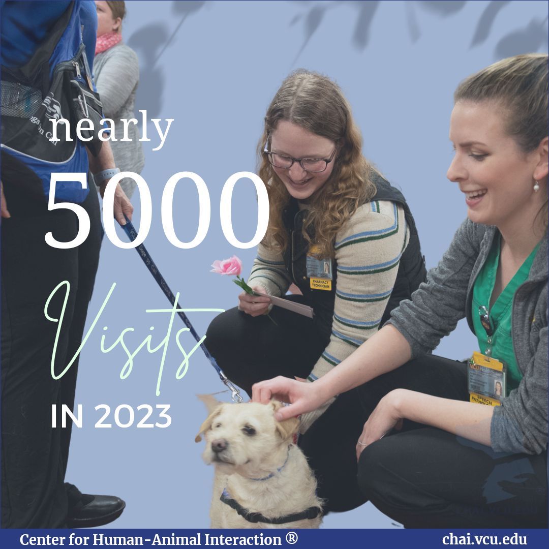 Dogs on Call completed almost 5,000 visits last year! 

#dogsoncall #chai #vcu #vcuhealth #richmond #virginia #therapydog #doglover #pettherapy #workingdog #therapy #doglife #RVA #tailwag #CHoR #studentlife