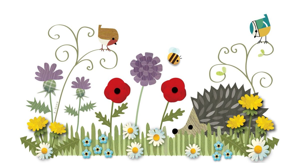 Community gardens come in many shapes & sizes - but they all have the potential to be #hedgehog havens! 🦔🌱🪲 Check out our tips for 'hog-friendly gardening - from ditching the pesticides to adding wild, weedy areas for #wildlife! buff.ly/44DqrQY \ 🖼️ @TFIUnmown