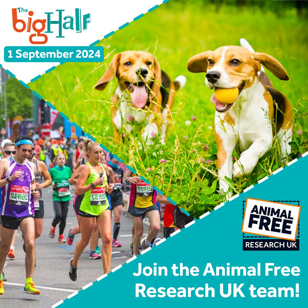 Only one space left to join the Animal Free Research UK team at London's #BigHalf! Soak up the incredible atmosphere of this epic #halfmarathon and do something incredible for animals. Join our team today - animalfreeresearchuk.org/the-big-half/