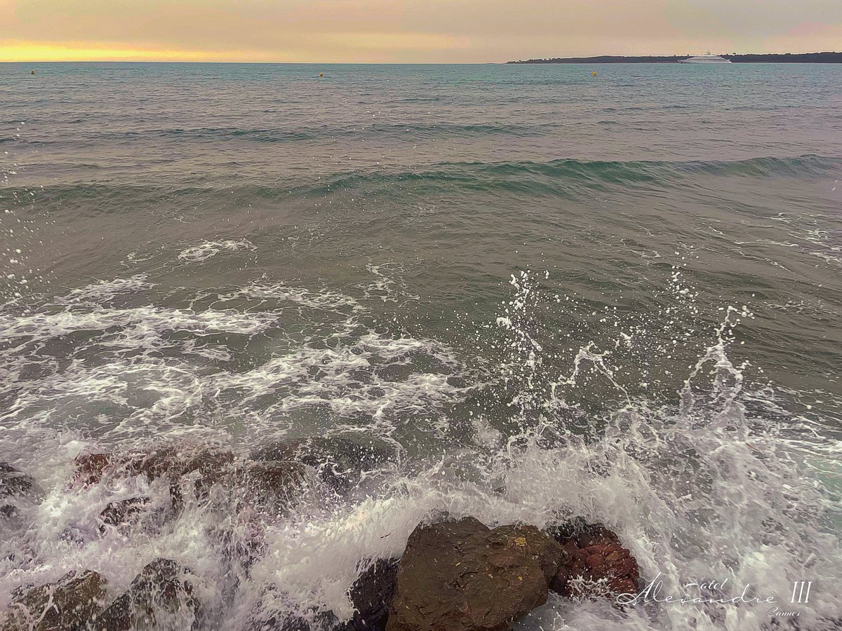 Wild. #wild #wildbeauty #wildsea #cotedazurfrance #cannes #cannes2024 #canneseries #cannessoleil #onatousbesoindusud #yachtingfestivalcannes