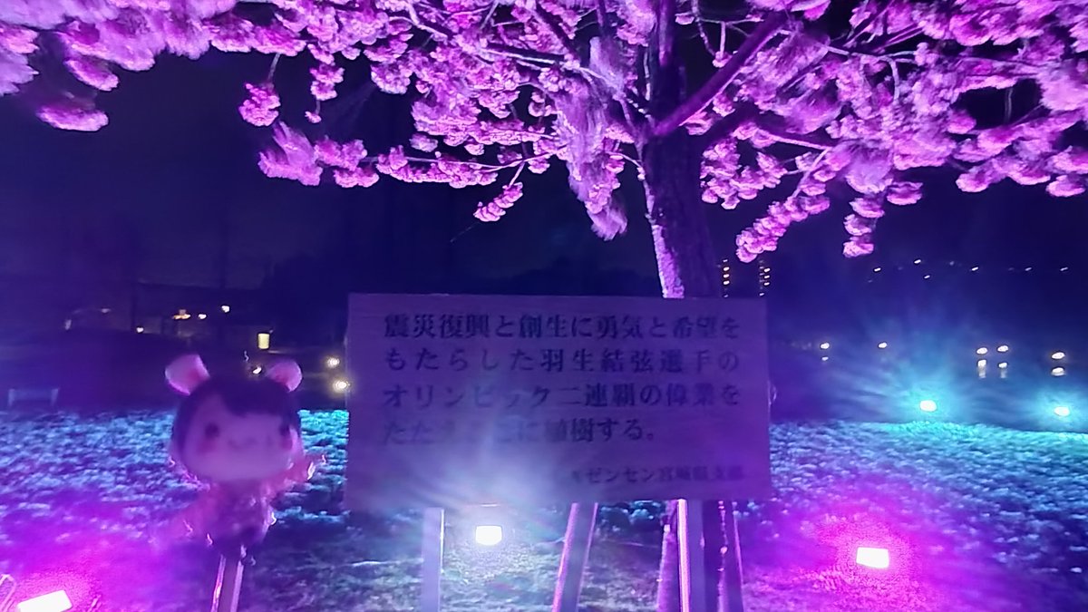 RE_PRAY宮城公演が終わったあと、急いでゆづ桜のライトアップを見に行きました🌸

幻想的な空間でしたよ💞✨
#ゆづ桜
#七北田公園