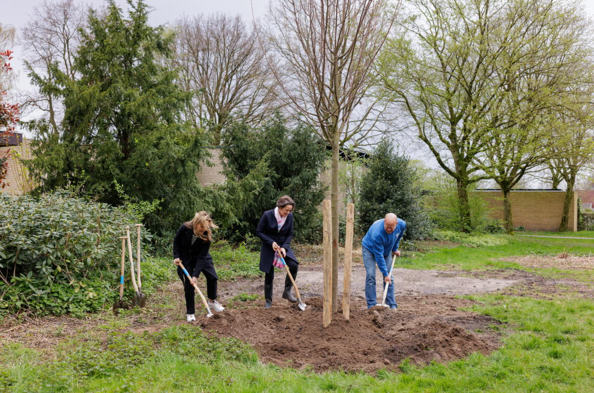 De Brainport-regio krijgt er 455.000 bomen bij dankzij een samenwerking tussen ASML en Trees for All. In Veldhoven komen 4000 bomen. Op 4 april gaven Mariëlle Giesbertz, Stef Röell (Trees for All) en Marjolein de Hooge (ASML) het startschot ⤵️ veldhoven.nl/nieuws/2024/04… Foto: ASML