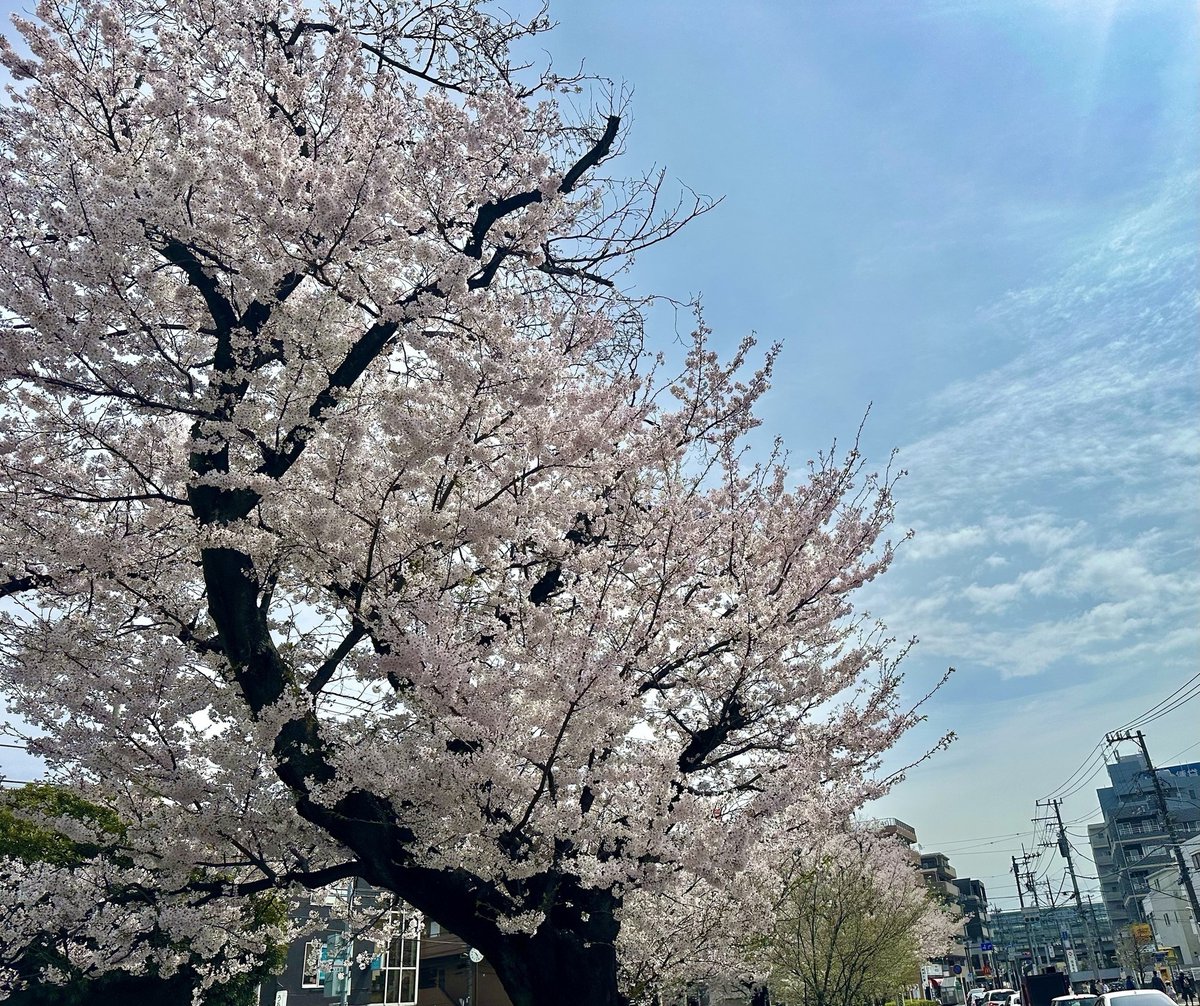 どうしようもなく疲れた時に 思い浮かべたいハッピーなワード5選 🌸何とかなる 🌸ダメもとでOK 🌸いい加減が良い加減 🌸明日は明日の風が吹く 🌸明けない夜はない 色々なことが毎日あるけど くじけそうな時は思い出して 乗り越えて行きましょうね～(*´˘`*)💓