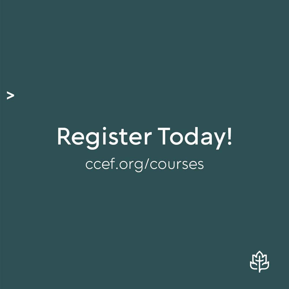 Registration is now open for the June 2024 term of the School of Biblical Counseling! Learn more and register at ccef.org/courses. #ccef #biblicalcounseling #christiancounseling #biblicalcounselingtraining #schoolofbiblicalcounseling