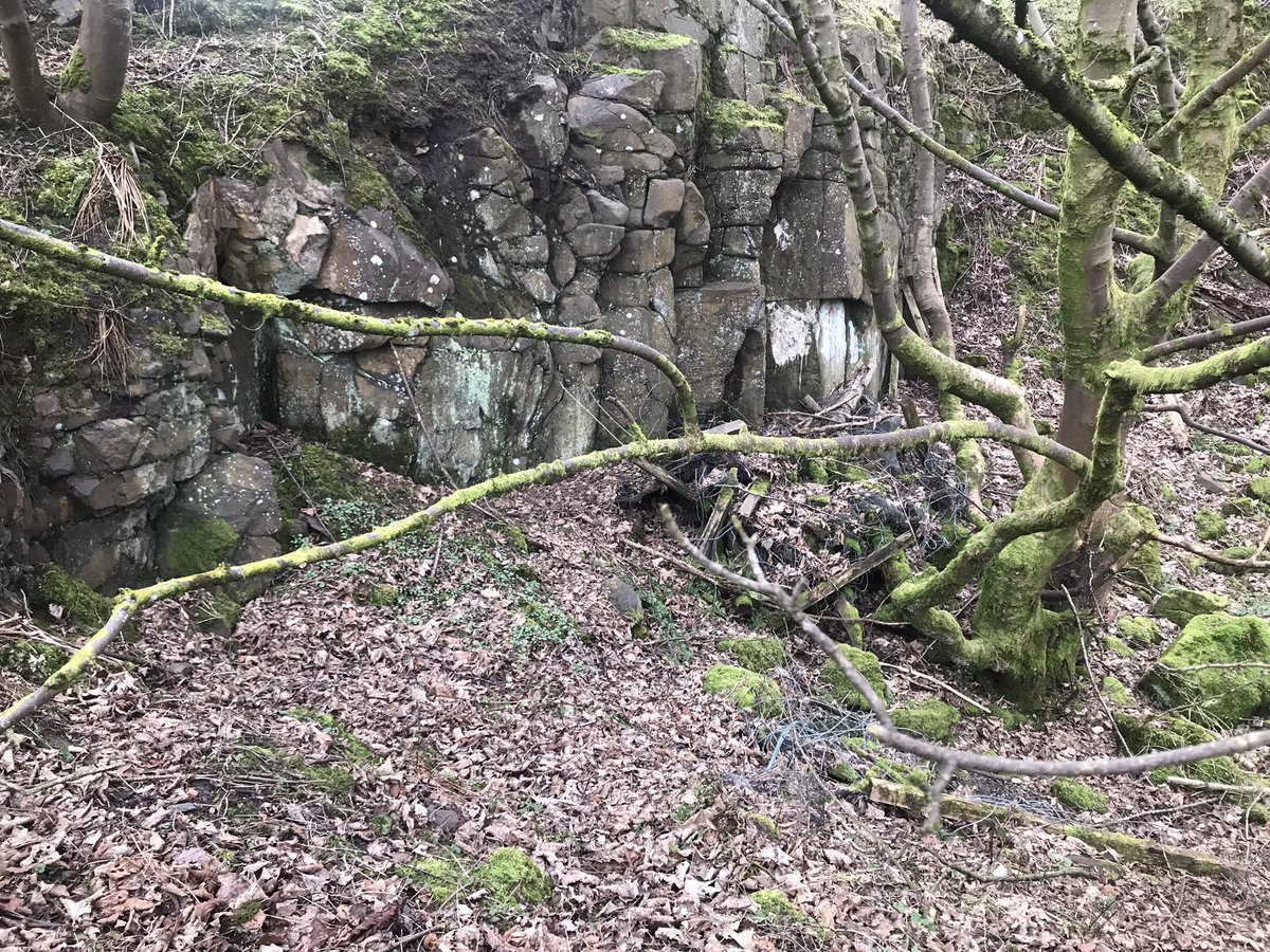 coal_legacies's tweet photo. Last of the #Glenboig bimbles the former site of the Star Works and clay pits allegedly the largest #fireclay company in the world in the 19th C for pics and info see 👉https://t.co/PJ38MlUViX Lots to see definitely needs a return visit #industriallandscape https://t.co/kw0tqT6Mln