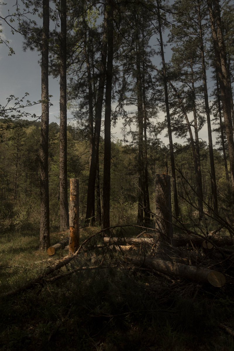 Hugogami's tweet image. A photo triptych from yesterdays eclipse trip to Arkansas w @archgenesis_  💕