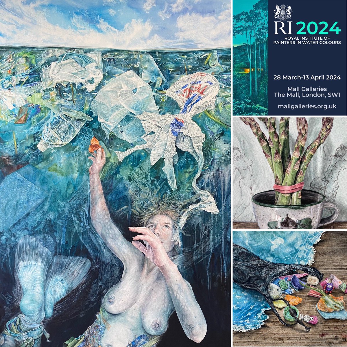 Last week of the 212th Annual #Exhibition of @RIwatercolours @mallgalleries , closes 13 April. #exhibition #exhibitingartist #watercolourartist #clairesparkes #watercolours #adrift #mermaidspurse #asparagustips #acorncup #stilllife #plasticpollution #figurative #narrativeart