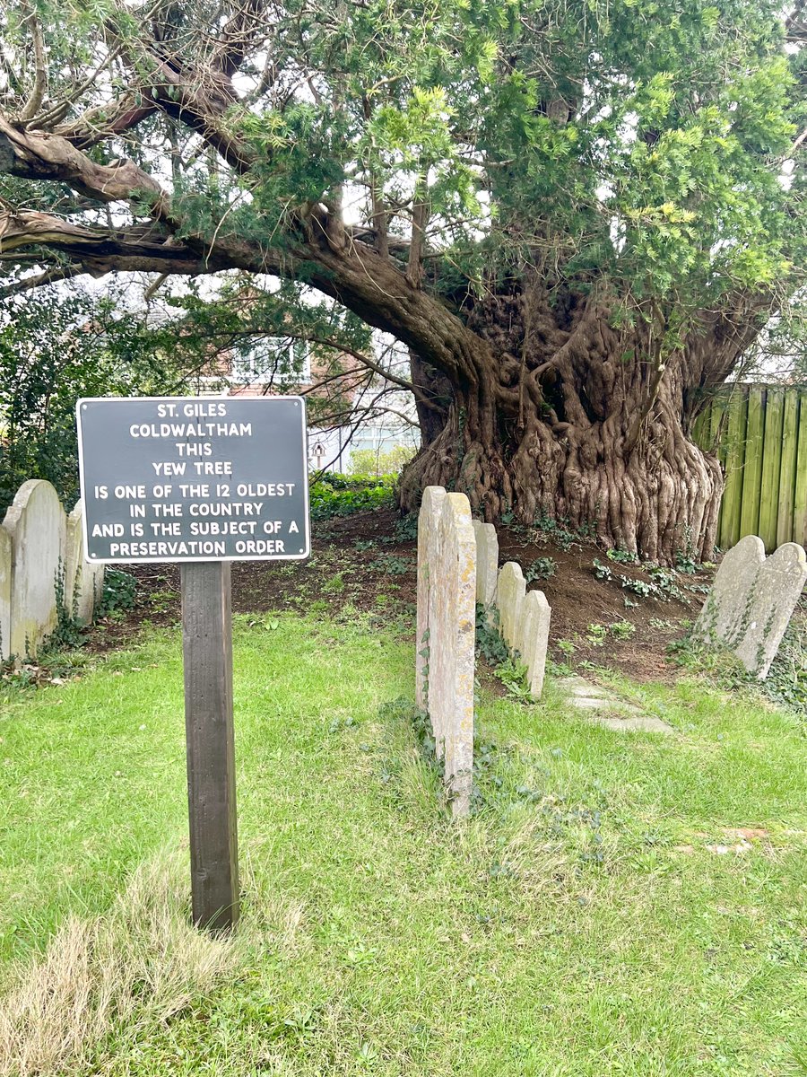 TiCL (NO to a blue tick) tweet media