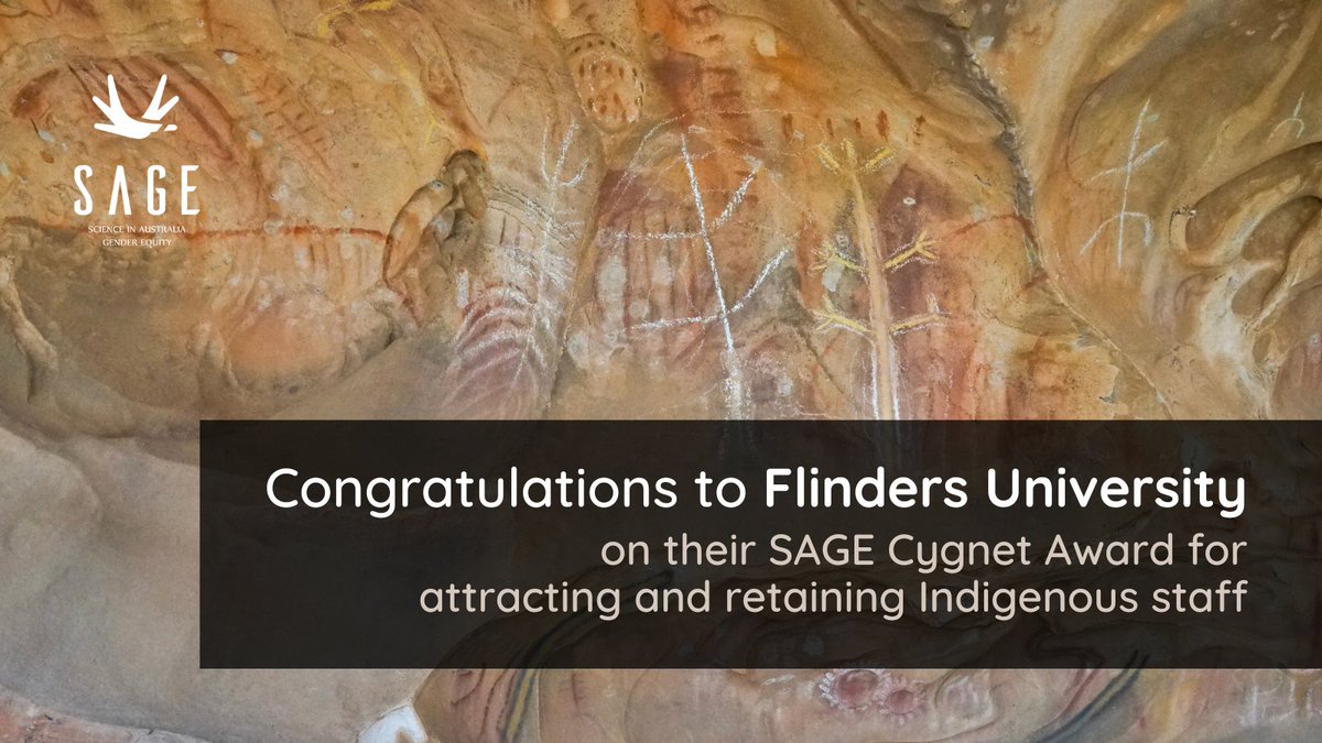 Flinders has been recognised as a national leader in supporting Indigenous talent, receiving a prestigious @SciGenderEquity #CygnetAward for fostering an inclusive environment for Aboriginal and Torres Strait Islander staff members. Find out more 👉 bit.ly/3vAkQ21