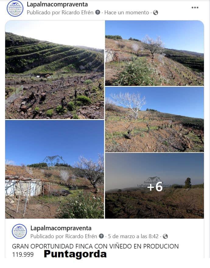 ServiceCanaria1's tweet image. LaPalmaCompraVenta Tu Inmobiliaria de Confianza en la Islas Canarias le Ofrece :
⁃Asesoría inmobiliaria 
⁃Valoración de mercado 
⁃Trámite de Herencia , Notaría y Registro de Propiedad 
⁃Trámite Urbanístico 
⁃Certificado Energético 
⁃Medición