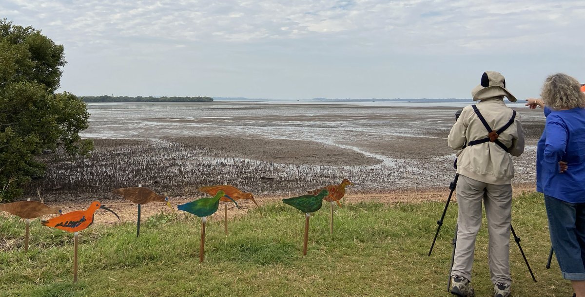 We back federal Environment Minister @tanya_plibersek's proposed rejection of a luxury apartment and marina development at an internationally important wetland near Brisbane. @martine_maron -“This is absolutely the right decision. Many community members have tirelessly…