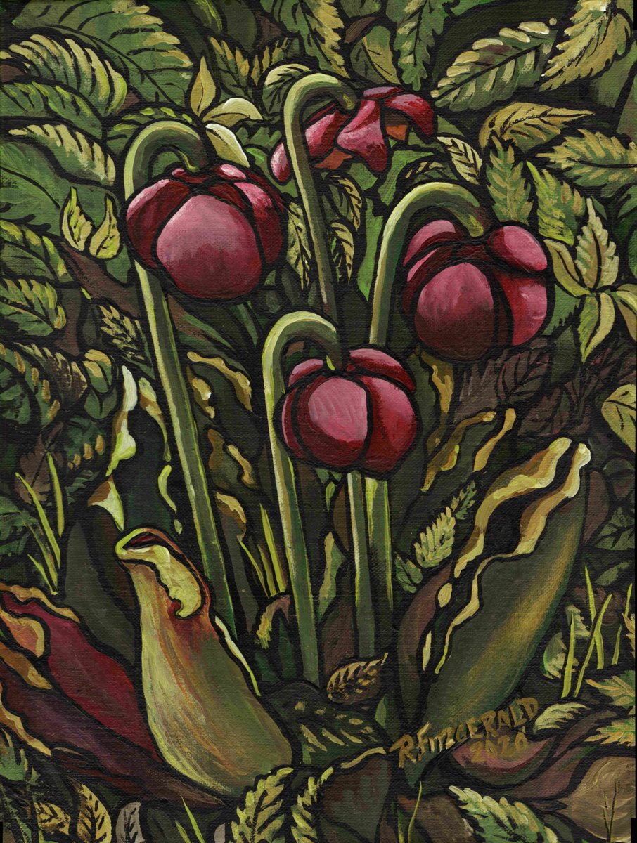 Today's Newfoundland & Labrador art share: 'Pitcher Plant' (2020) 16' X 12” acrylic on canvas painting by Reilly Fitzgerald. My version of our provincial flower. Hope you like it. #ReillysArt