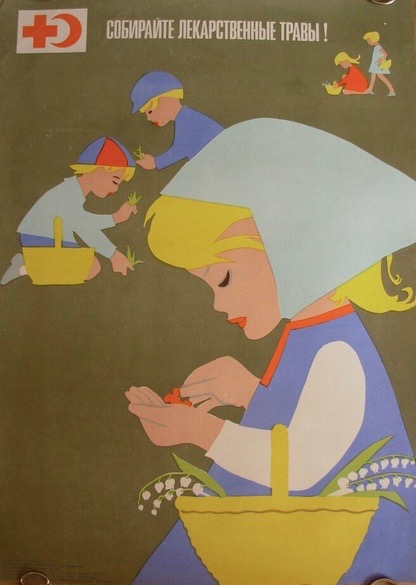 'Collect medicinal herbs!' Soviet poster, 1973.