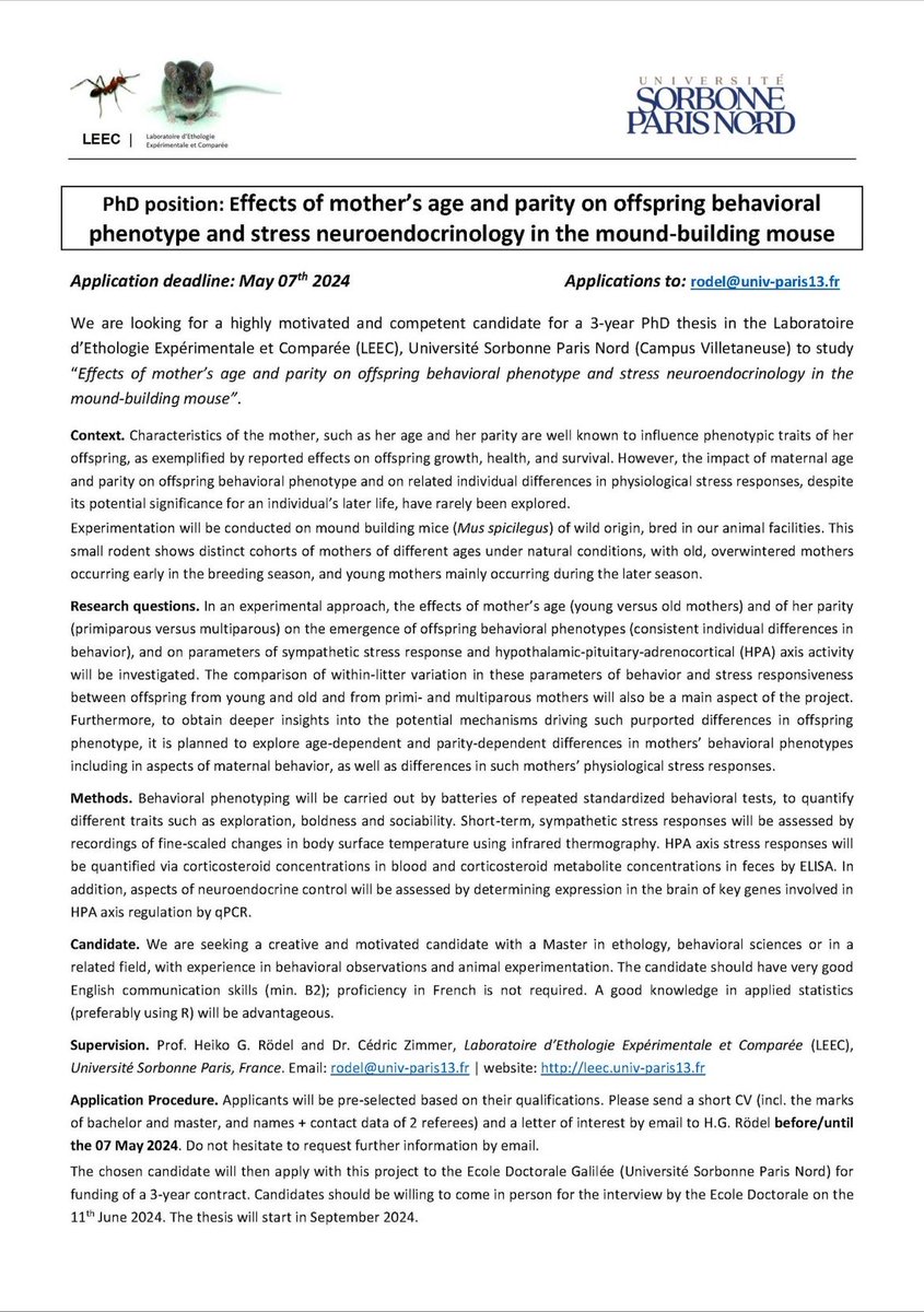 PhD opportunity: Investigating the Impact of Maternal Age and Parity on Offspring Behavioral Phenotype and Stress Neuroendocrinology in the Mound-Building Mouse.

#careerjournalplus Website: careerjournalplus.com
facebook.com/CareerJournalp…
linkedin.com/company/career…