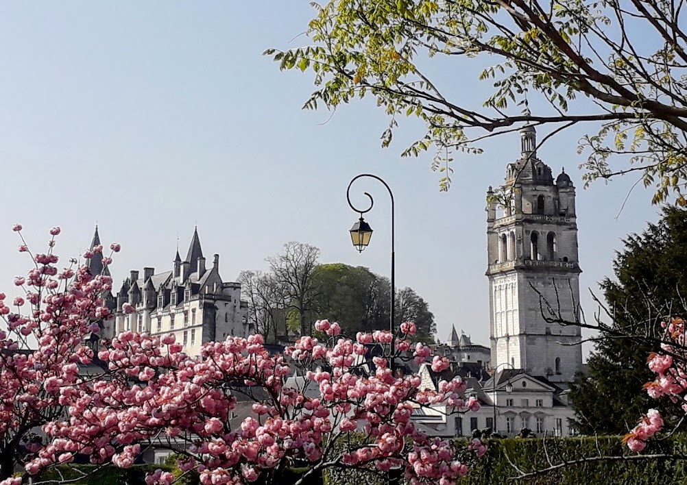 Springtime @CiteLoches experienceloire.com/loches.htm 📷@iamjamescraig #MagnifiqueFrance