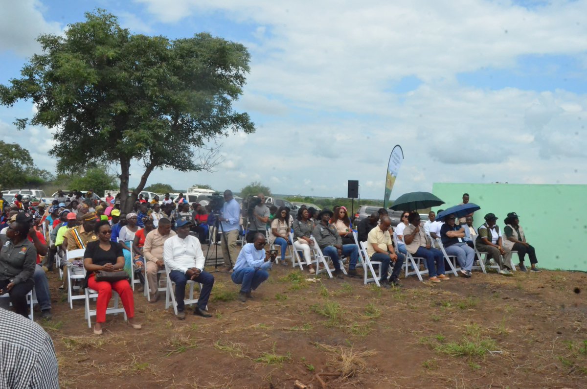 FAO team participated in the opening of the Livestock Vaccination Campaign in Moamba district, led by the Vice Minister of Agriculture and Rural Development. #Livestock #VaccinationCampaign #AnimalHealth