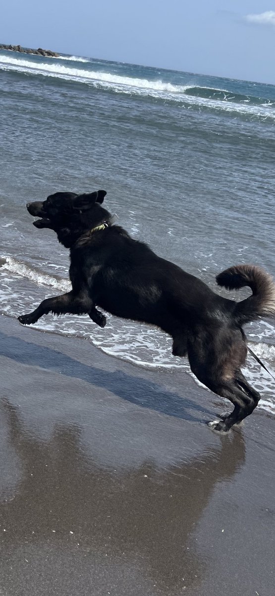 Καλημέρα με παιχνίδι παραλια.
