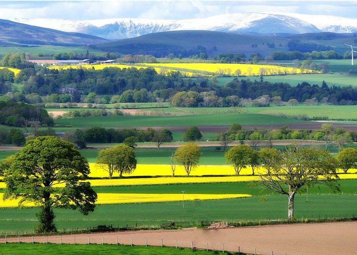 The layers of the #Angus countryside.
📷Eric Niven
#Scotland #BeautifulScotland #ScottishBanner #LoveScotland #ScotlandIsCalling #TheBanner #VisitAngus #AmazingScotland #VisitScotland