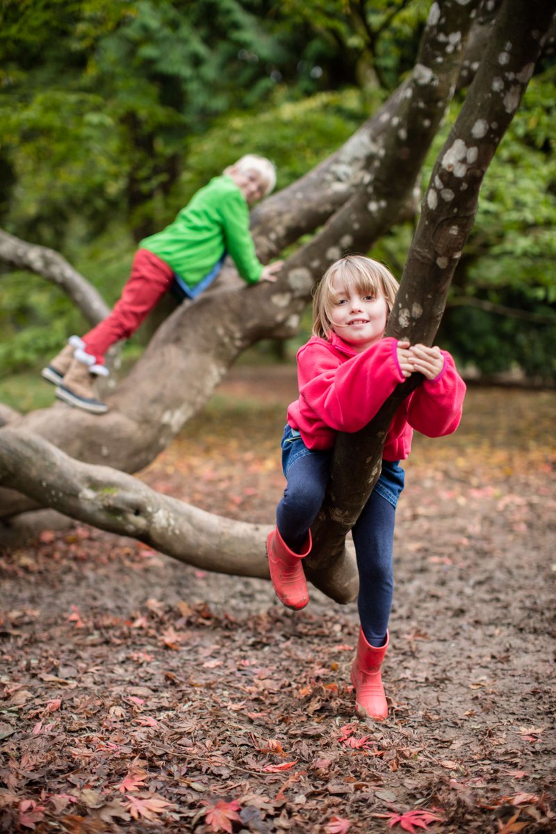 Free Easter family activities at Westonbirt Arboretum 🐰🥚 9 – 11 April, 10:30am – 3:30pm at the Learning Centre Make a chick, butterfly or frog and read wildlife stories. Kids entry is free with membership of the Friends of Westonbirt Arboretum fowa.org.uk/join-support/