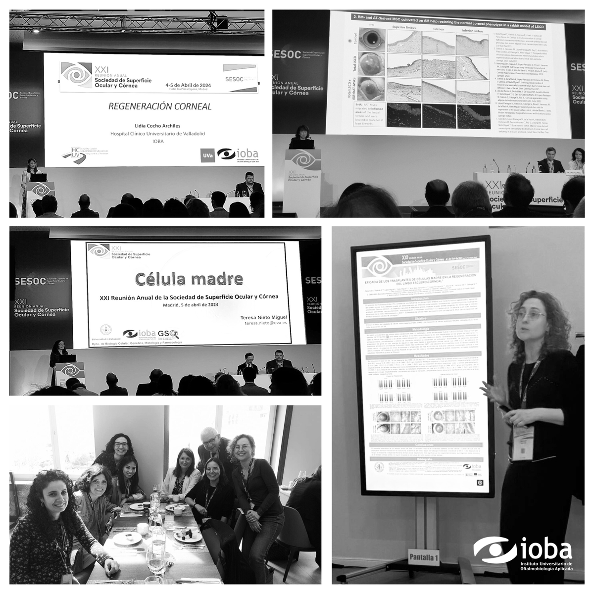 IobaUVa's tweet photo. El viernes pasado tuvo lugar la #XXIReuniónDeLaSESOC en la que han participado el Dr. José María Herreras, que además ha sido uno de los organizadores, la Prof.ª Margarita Calonge, la Dra. Teresa Nieto, la Dra. Lidia Cocho y  Dra. Inmaculada Pérez. #Enhorabuena!
#IOBA #EquipoIOBA https://t.co/DhK1Xsdfdq