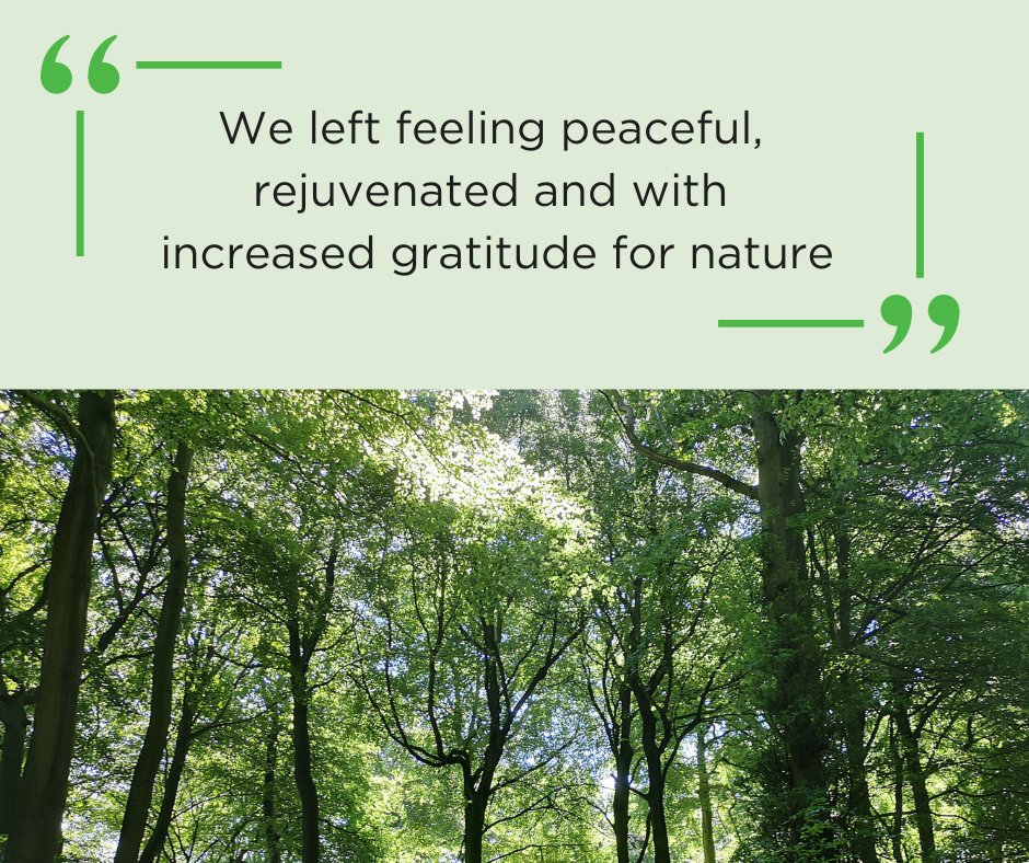 Last few spaces left on our forest bathing session this Saturday in Captain's Wood. Take a few hours for yourself to relax and unwind in nature, the weather is looking perfect ⛅ Book here 👉bit.ly/3xpUL6a