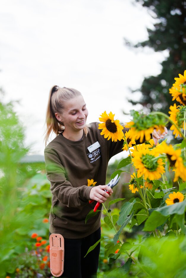 Looking for a new career in horticulture or intrigued to discover more? Join us to network with employers and training providers, and hear from speakers working in the sector on what life in horticultural really like. Sat 27 April @RHSWisley. Book now! eventbrite.co.uk/o/royal-hortic…