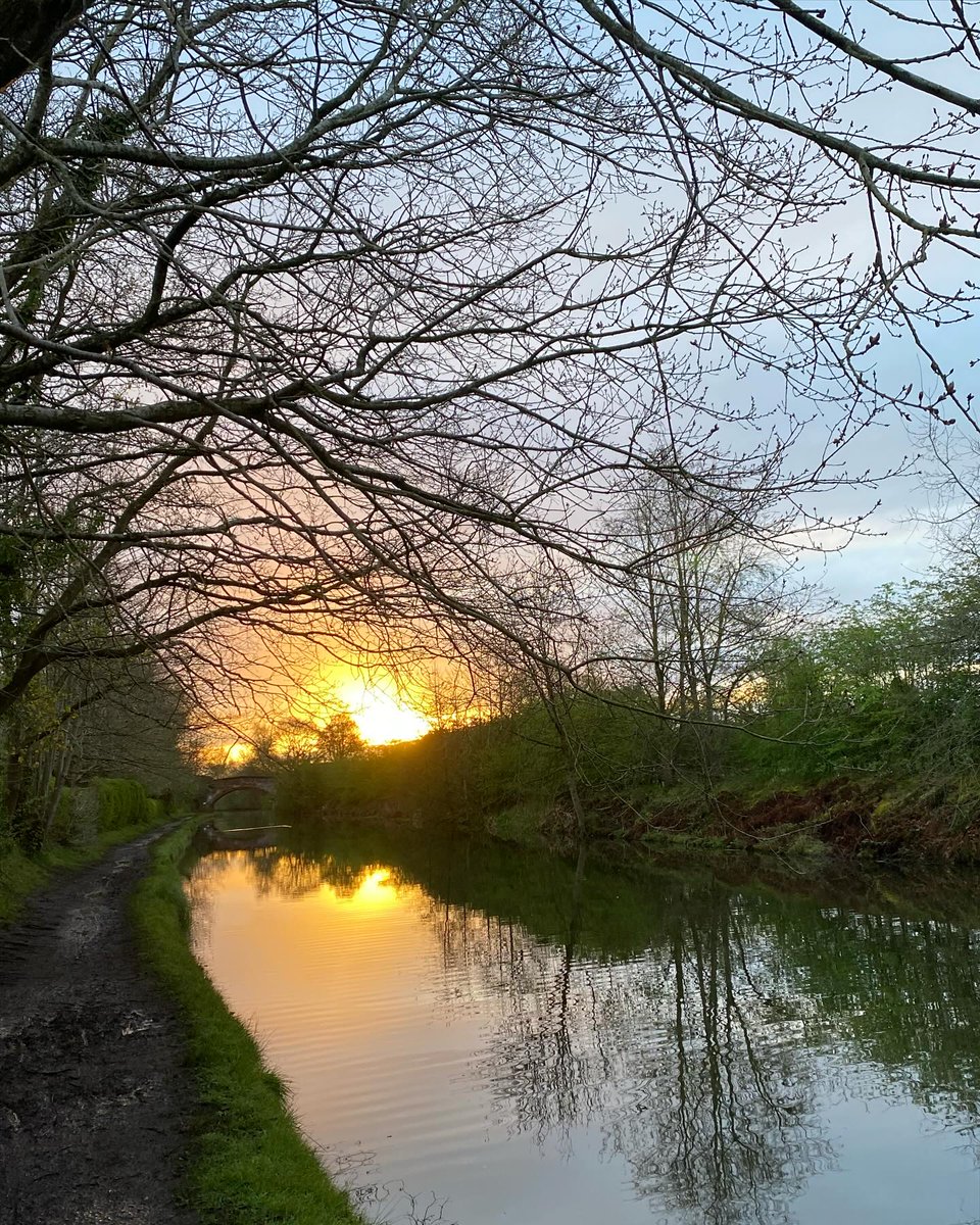 A beautiful morning! Being watched for two days now by a deer in the field opposite, seen herons flying two and three abreast, what a stunning place for an early morning walk! #dailywalk #timeinnature #wellbeing #canal #earlymorning