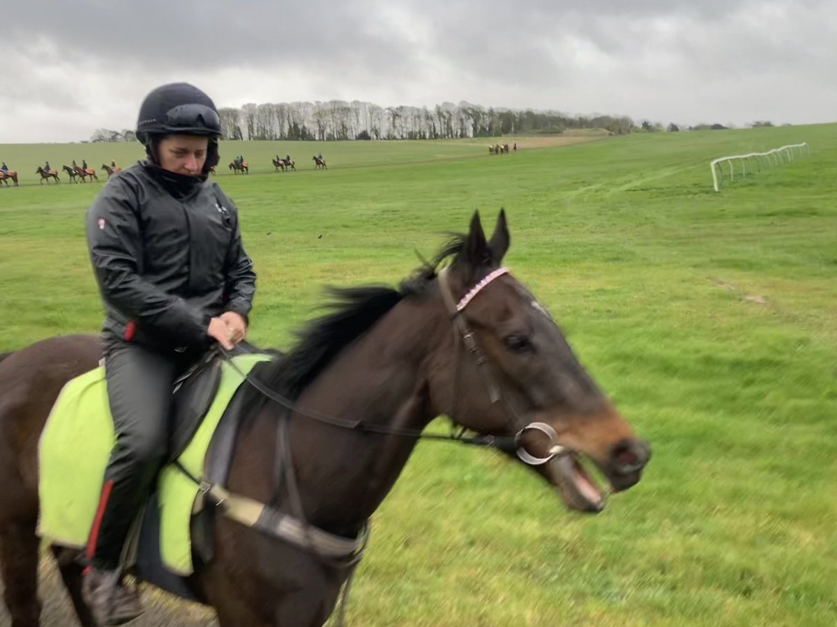 Very windy again this morning @NewmarketGallop. Intermittent light showers so far. Not very nice. Fortunately it’s a southerly wind so it’s not cold, currently 9 degrees #CloudyRose #Surooj #Hiccups
