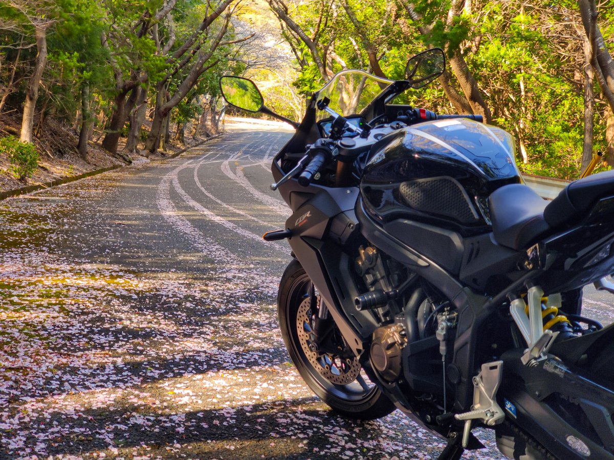seeback10's tweet photo. 桜ちってた。

#CBR650R #HONDA #バイク #ツーリング #バイクが好きだ #バイクフォト #バイクのある風景 #バイクのある景色 #バイク乗りと繋がりたい #バイク好きと繋がりたい #motorcycle https://t.co/5T7YNwoqtr
