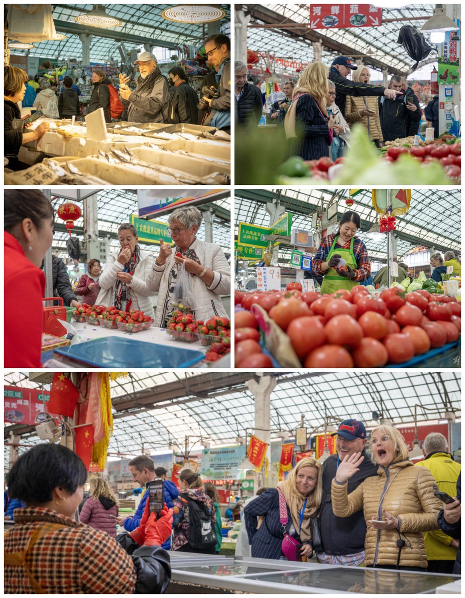 Exploring a local market while traveling abroad provides an interesting peek👀into the heart of a city! 

A group of German cruise tourists got the chance to visit a bustling wet market🦐in Shanghai.
@GerAmbChina @ChinaCG_Ffm @ChinaCG_Muc