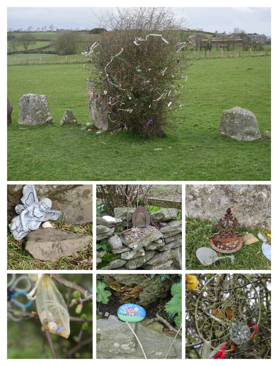 Some little bits of magic from the Fairy 🌳at Ballynoe Stone Circle.

Somewhere I'm amazed to say that I didn't know existed until I saw it referenced on here by a visitor from Scotland.

These 🌳s, sometimes referred to as Cloutie Trees, have been used to make offerings, for