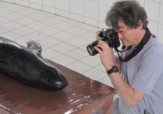 SMRU (now posting at Bluesky) tweet media