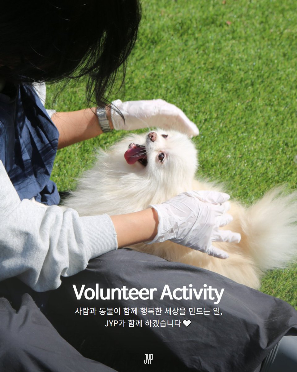 [𝗝𝗬𝗣-𝗹𝗼𝗴 📷] 국제 강아지의 날을 맞이하여, 보호견·묘 봉사활동을 진행했는데요!🐕🐈 사람과 동물이 행복한 세상을 만드는 일, JYP가 함께 하겠습니다🩵 JYP employees had time to participate in volunteer activities for abandoned dogs and cats. #JYP #JYPEDM #JYPlog