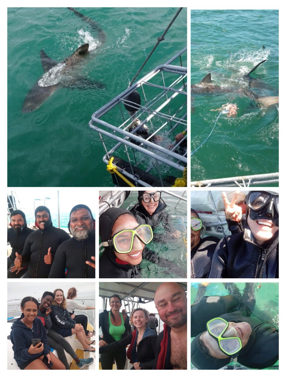 TheSharkladySA's tweet photo. Hi, are you all OK out there? 
We've been weathering the storm this side, and are resuming business as usual 🤙💦🛥️🦈
Stay safe folks, and hope to welcome you soon! 
#SharkladyAdventures #Sharklady
#SharkCageDiving #CageDiving #SharkExperience #EcoTourism #HermanusTourism https://t.co/CoqLIkDoL5
