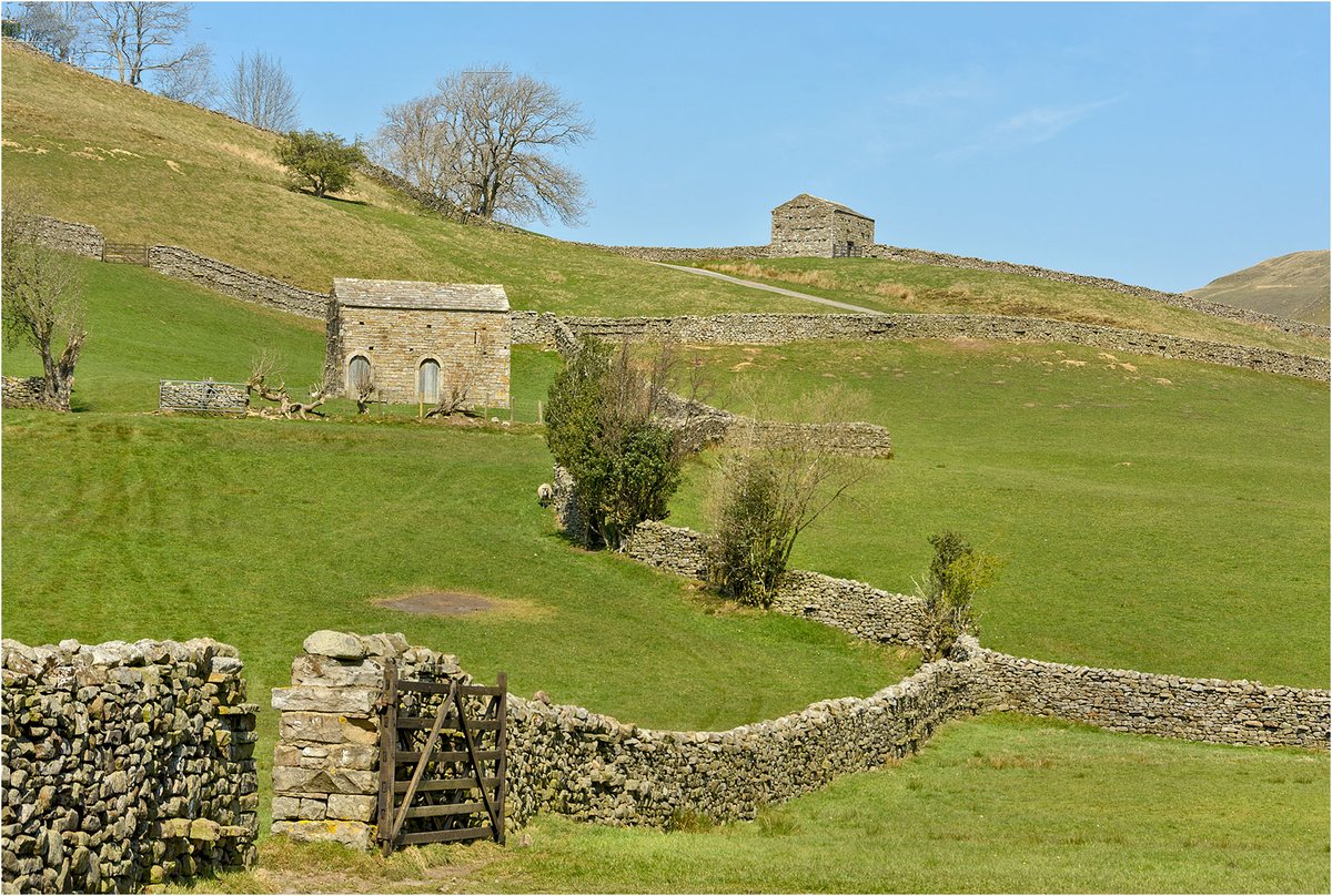 These barns are built all over the hillsides in Swaledale. Yorkshire Dales NP
