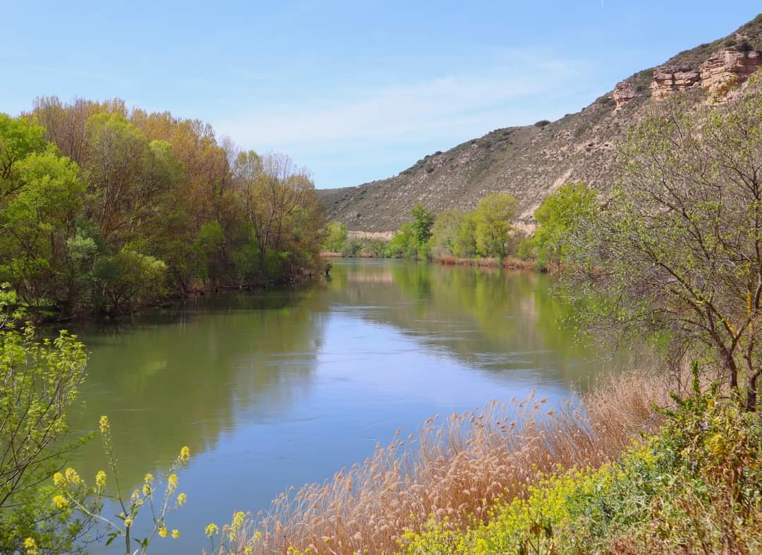 joseba770's tweet photo. #rioebro #lapuebladelabarca https://t.co/8q5BvqB5eZ