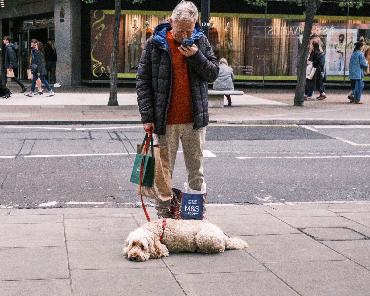 zummerzett's tweet photo. #cockapoo #otherpeoplesdogs #streetphotography #dogsinthecity #dog #london #oxfordstreet https://t.co/P2DOhsPuKn
