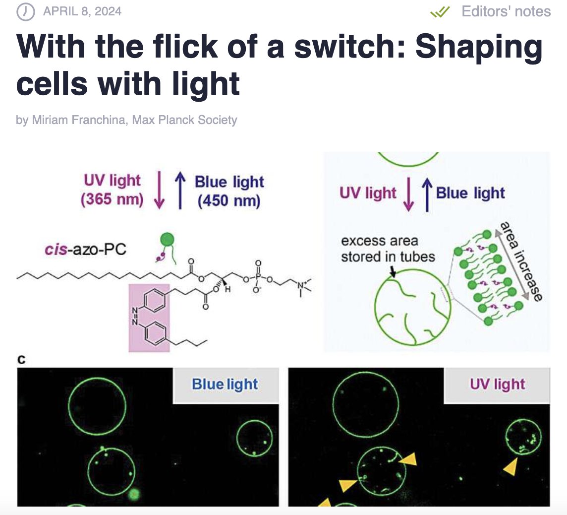 While I try to write a bit about 🇭🇹 at the WEs (#QueenMarieLouise in 🇮🇹& #KingHenry's negotiations w. the #HolySee), this is what I'm doing these days. From the #Enlightenment 2 #light in a cell! (& many other projects in #chemistry, #biology, #physics). tinyurl.com/4r6dywkd