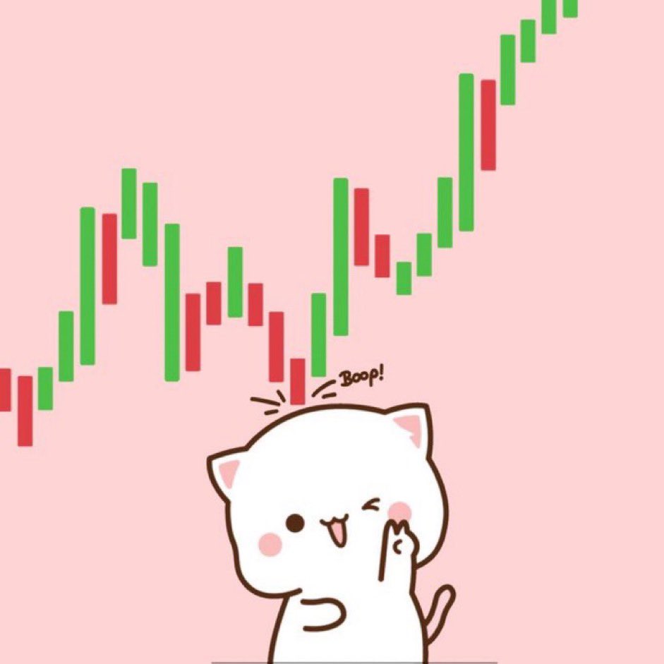 mochi neko tweet media