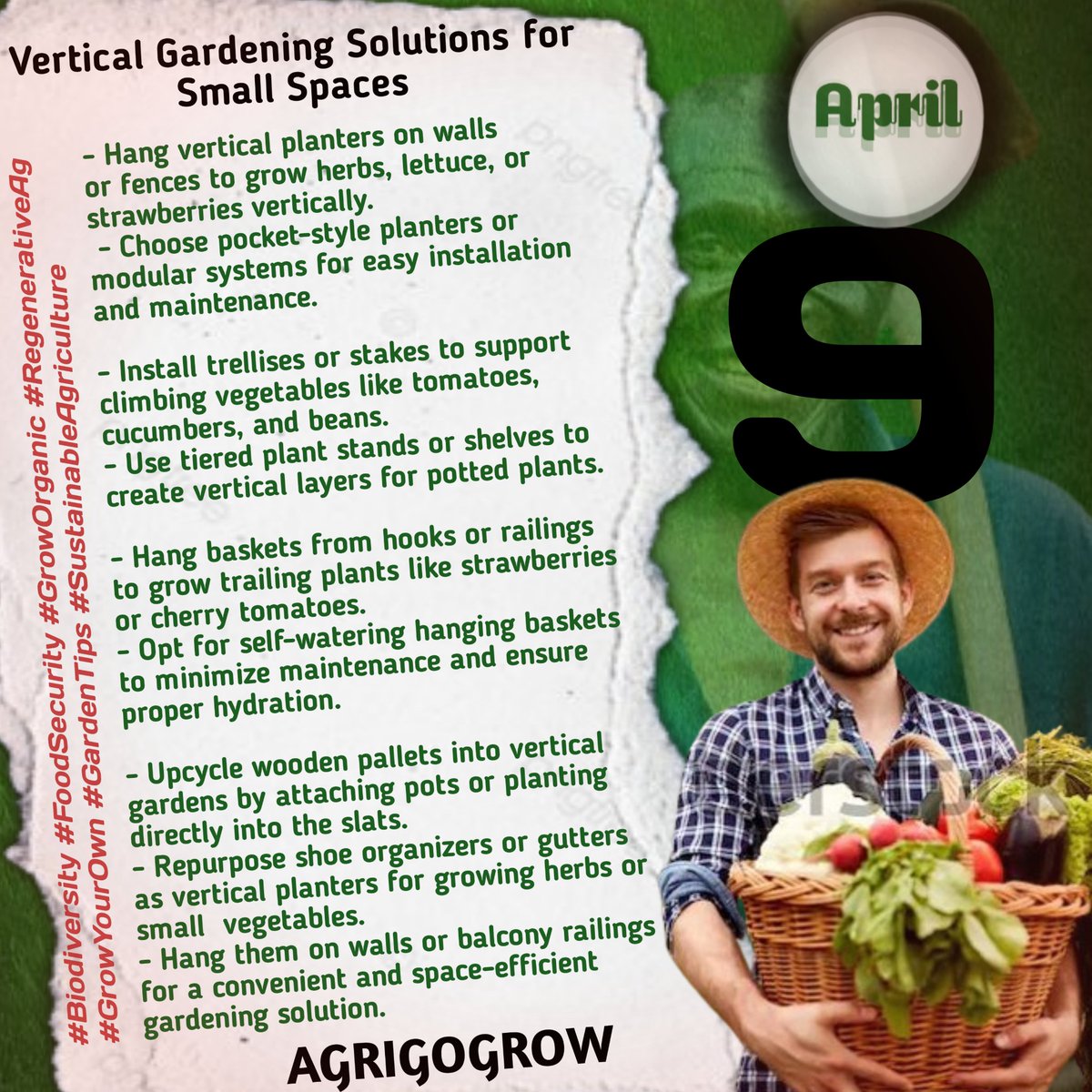 Limited space doesn't have to mean limited gardening opportunities. Vertical gardening offers innovative ways to grow vegetables and herbs, even in the smallest of spaces. Here are some creative ideas to maximize your gardening potential
#SustainableAgriculture
#FarmingTips